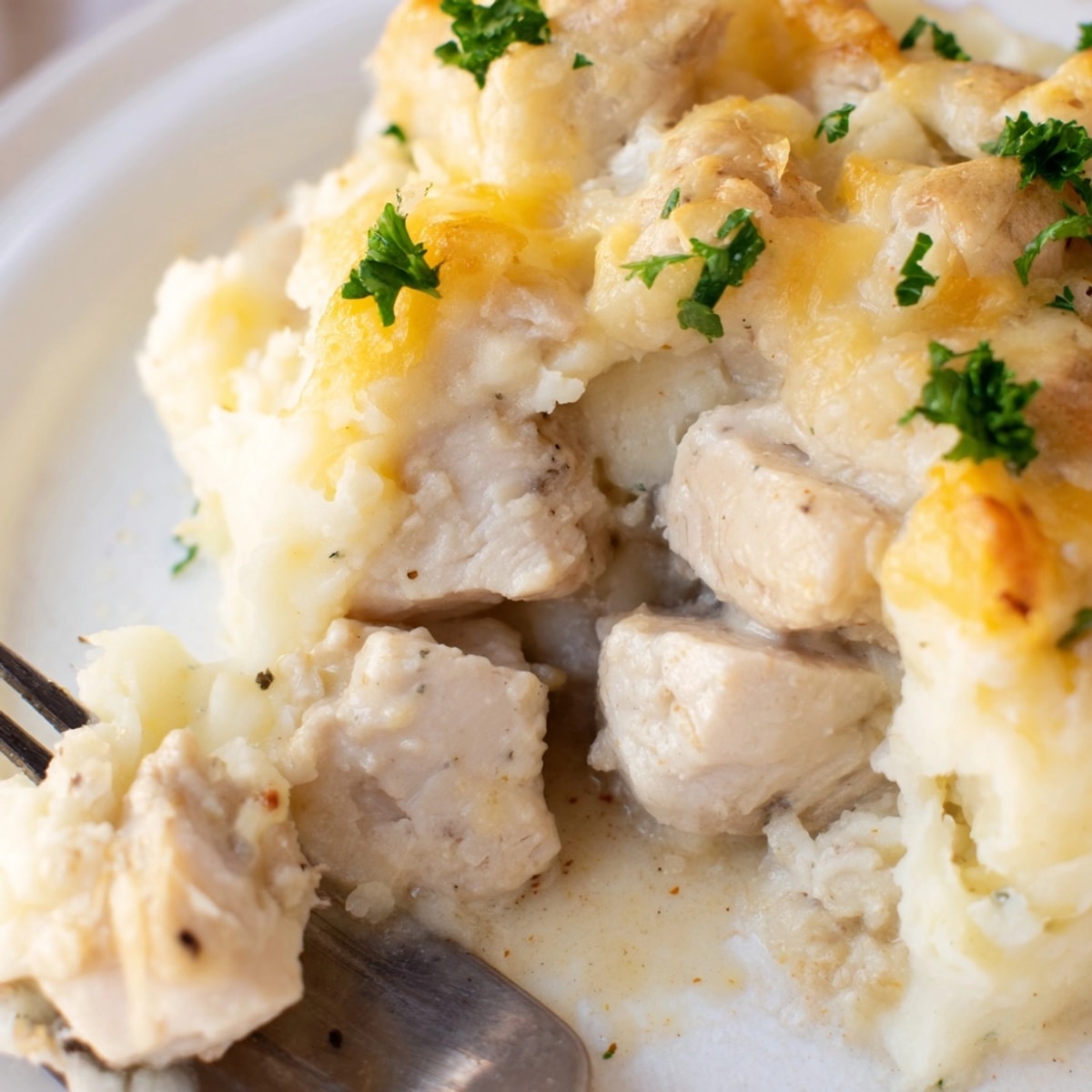 Homemade Chicken Dijon &amp; Mashed Potato Casserole, bubbling with cheese and fresh herbs after baking.